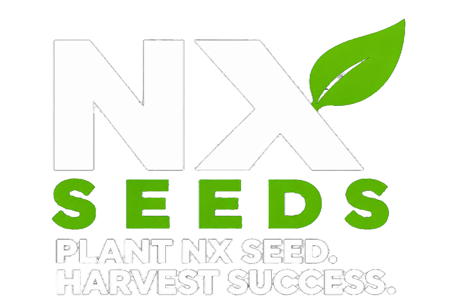 NX SEEDS